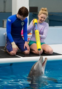 DOLPHIN TALE 2