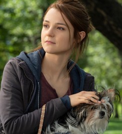 Film Title: A Dog's Journey